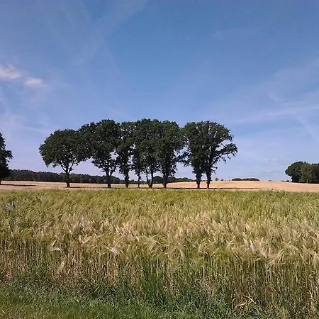 Hof Holthuis